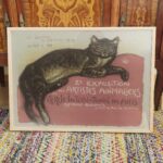 Vintage French Cat Art Print