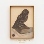Vintage Owl Print