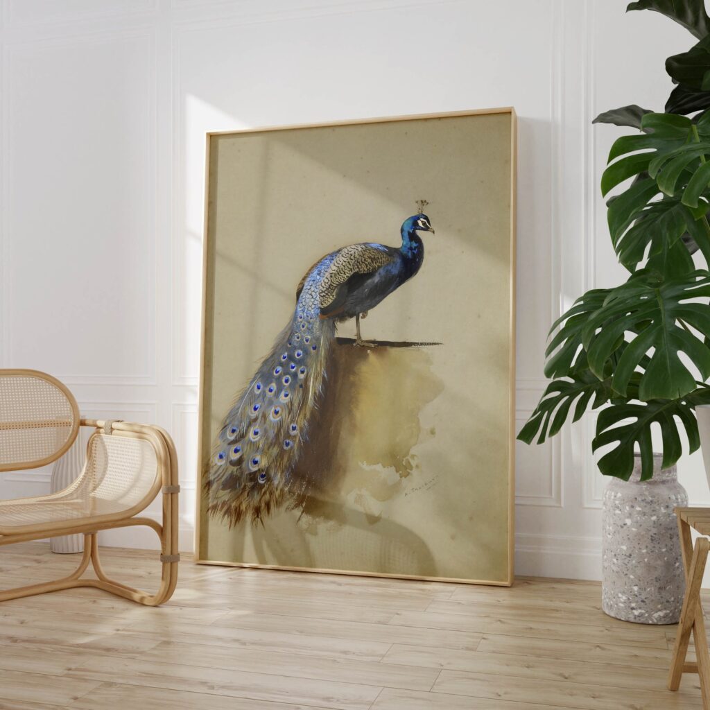 Vintage Peacock Print