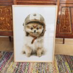 Whimsical Pomeranian Puppy Art Print