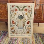 William Morris Beetle Print