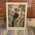 William Morris Woodpecker Print