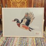 Wood Duck Wall Art
