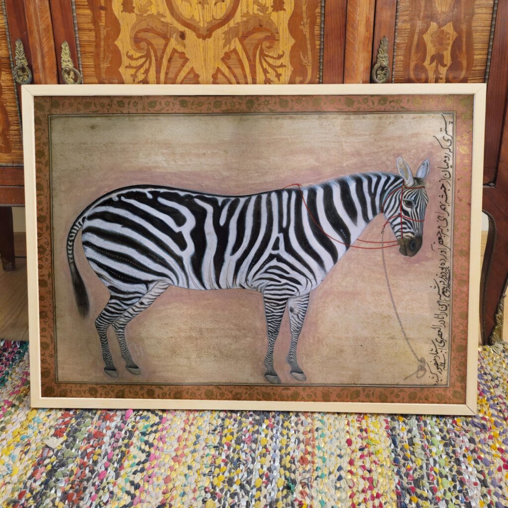 Zebra Safari Art Print