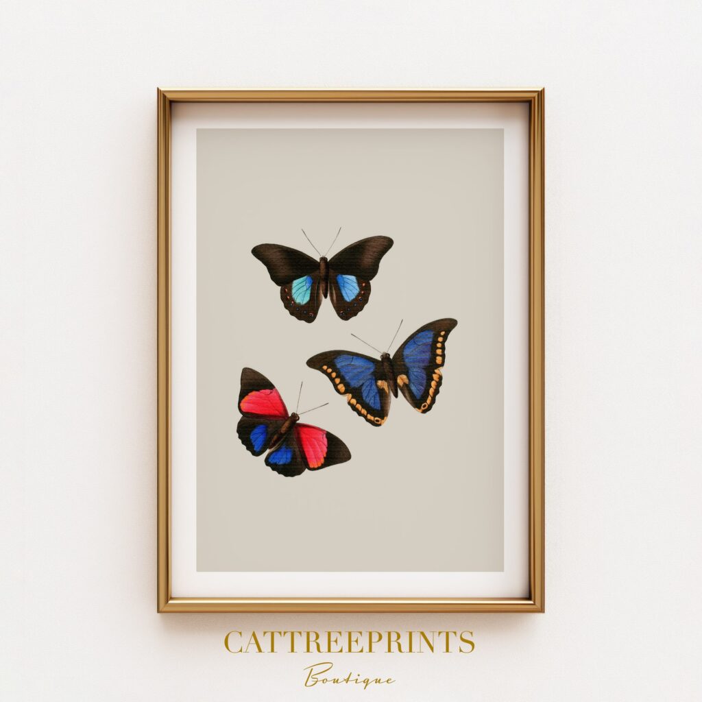 Butterfly Art Print