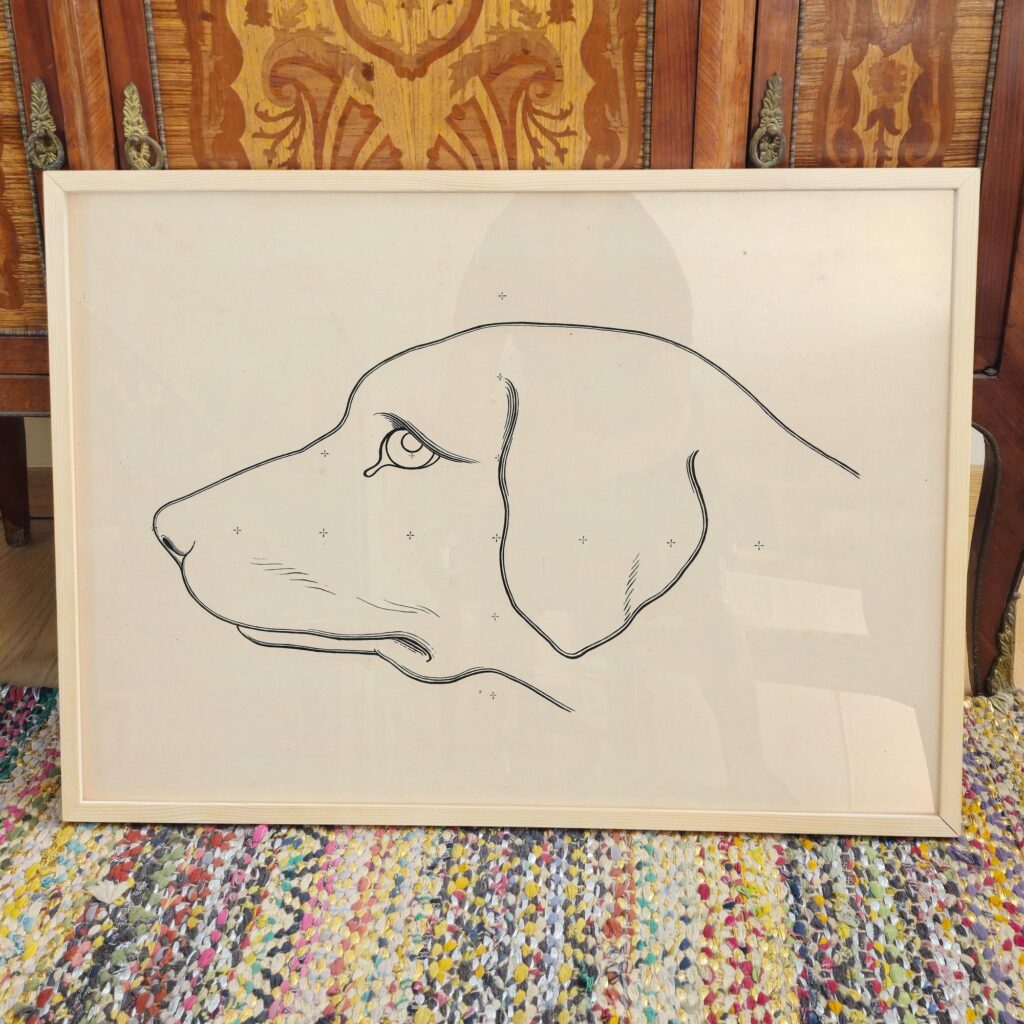 Dachshund Line Drawing Print