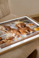 Golden Retriever Chefs Kitchen Print