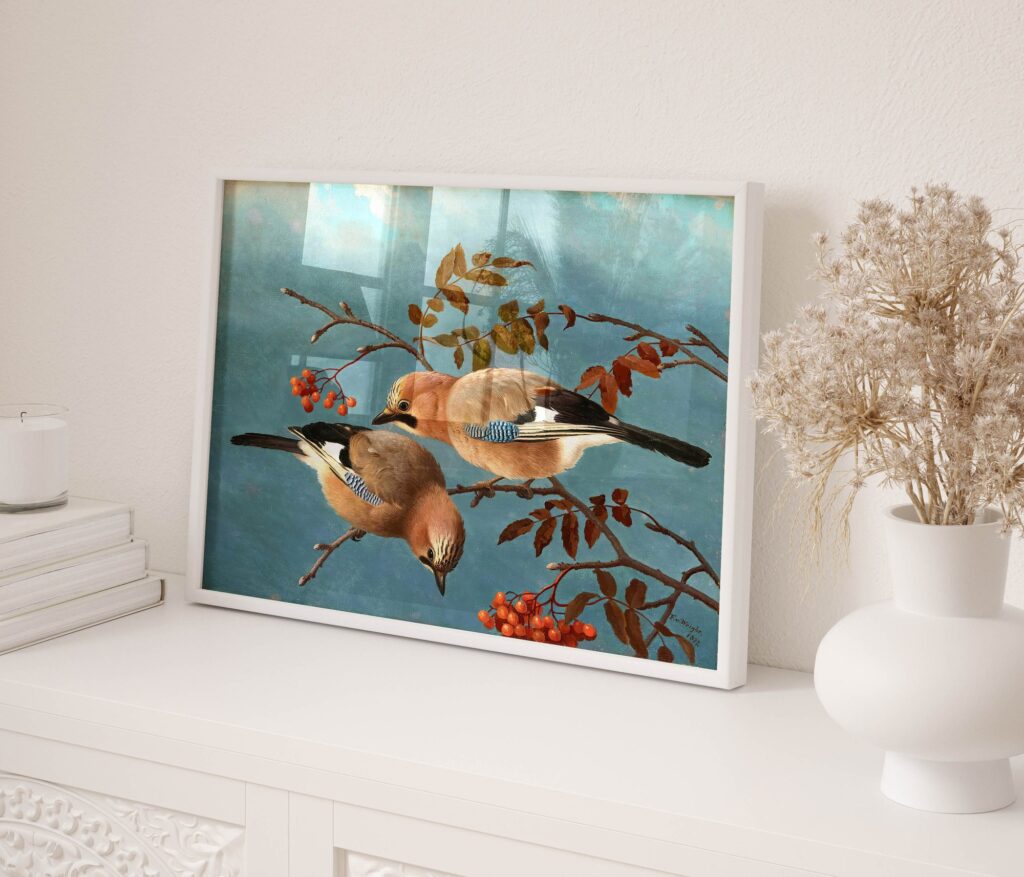 Vintage Jay Bird Print