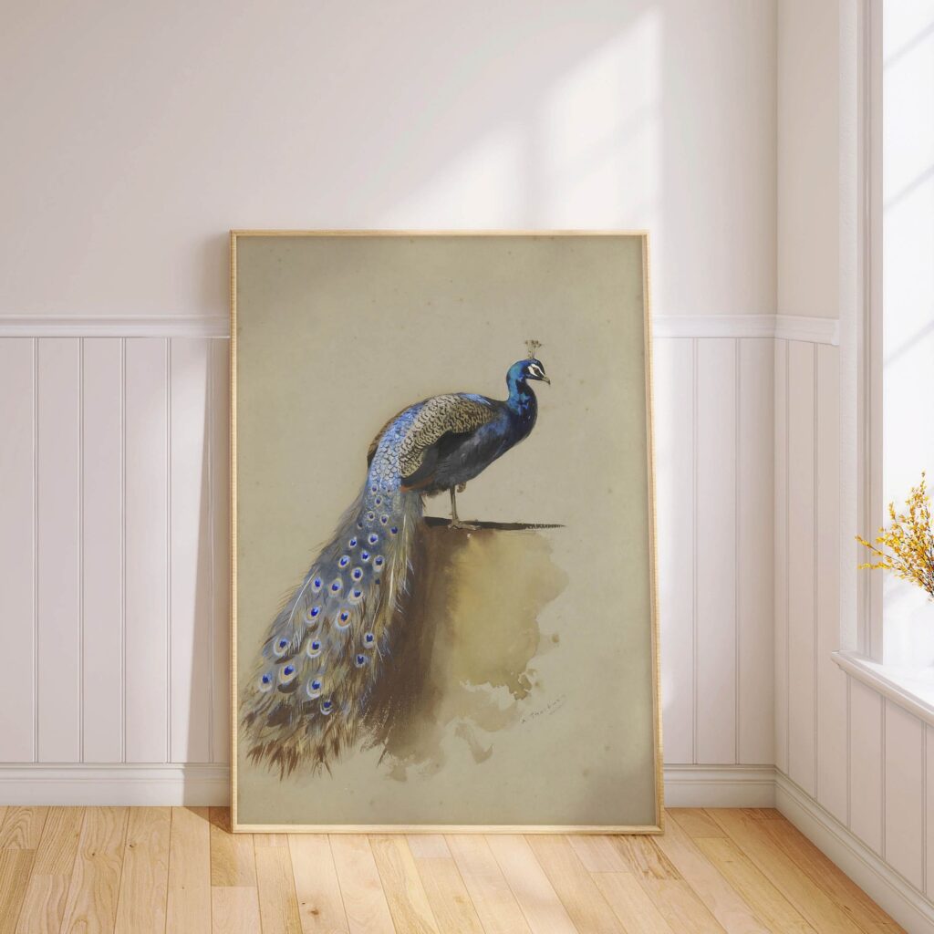 Vintage Peacock Print