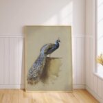 Vintage Peacock Print