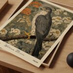 Falcon Art Print
