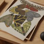 Vintage Butterfly Art Print
