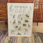 Animals of Europe Map Poster