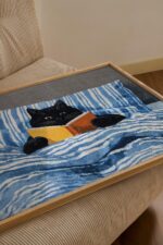 Black Cat Bed Reading Print