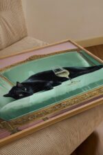 Black Cat Champagne Poster