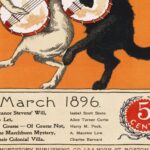 Black Cat Rabbit Music Poster