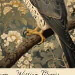 Falcon Art Print