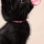 Funny Black Cat Print