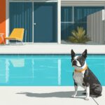 Mid Century Pool House Poster