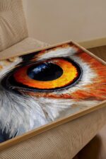 Owl Eye Art Print