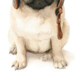 Pug Aviator Poster