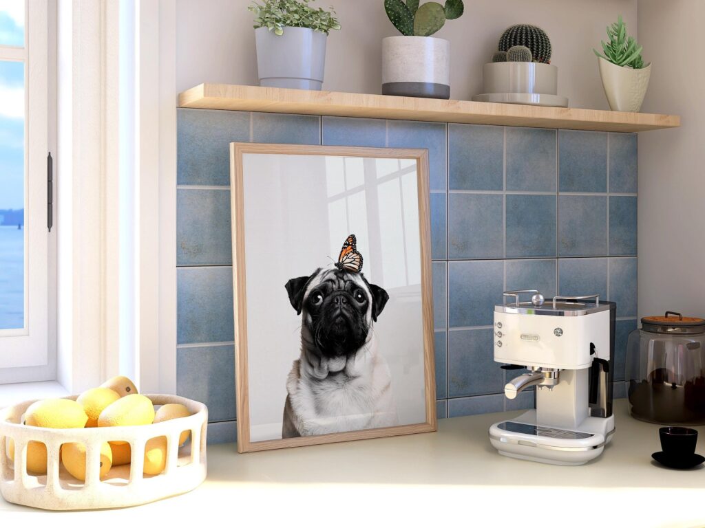 Pug with Monarch Print