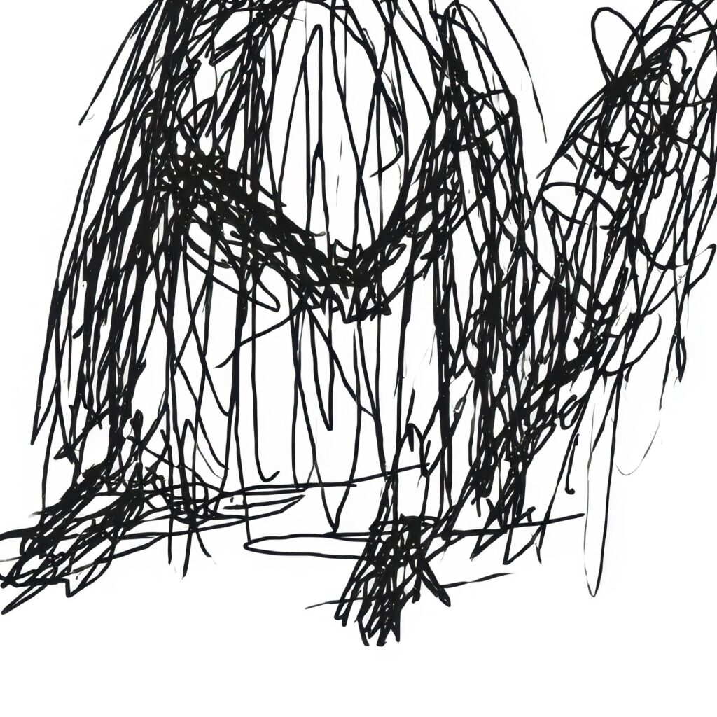 Raccoon Sketch Wall Art