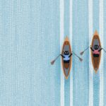 Rowing Cats Art Print