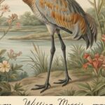 Sandhill Crane William Morris Art Print