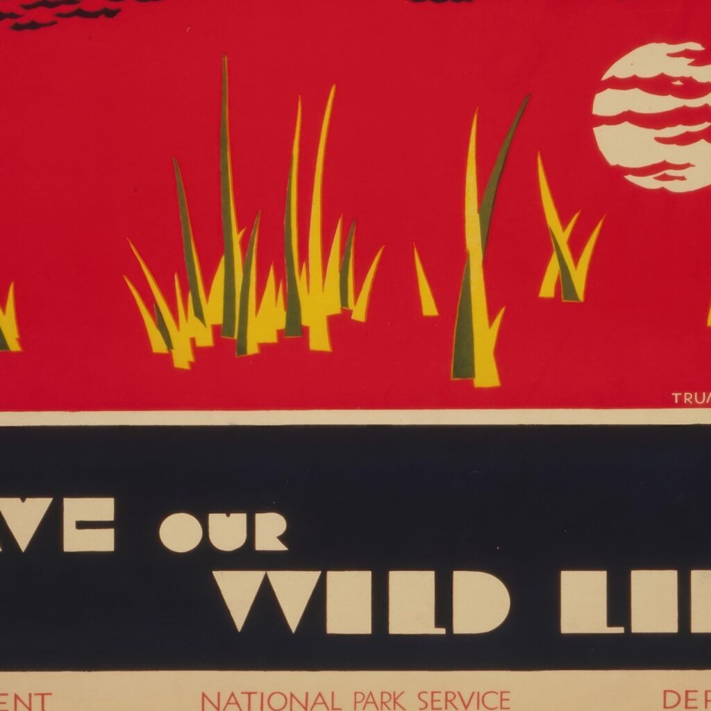 Save Our Wildlife Vintage Wall Art