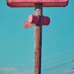 Texas Pink Sign Wall Art