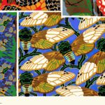 Vintage Insect Print