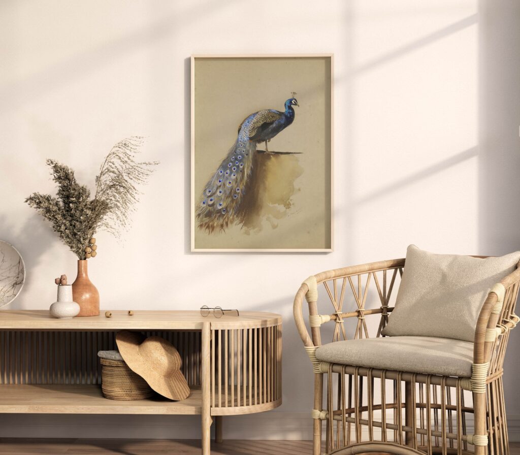 Vintage Peacock Print
