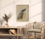 Vintage Peacock Print