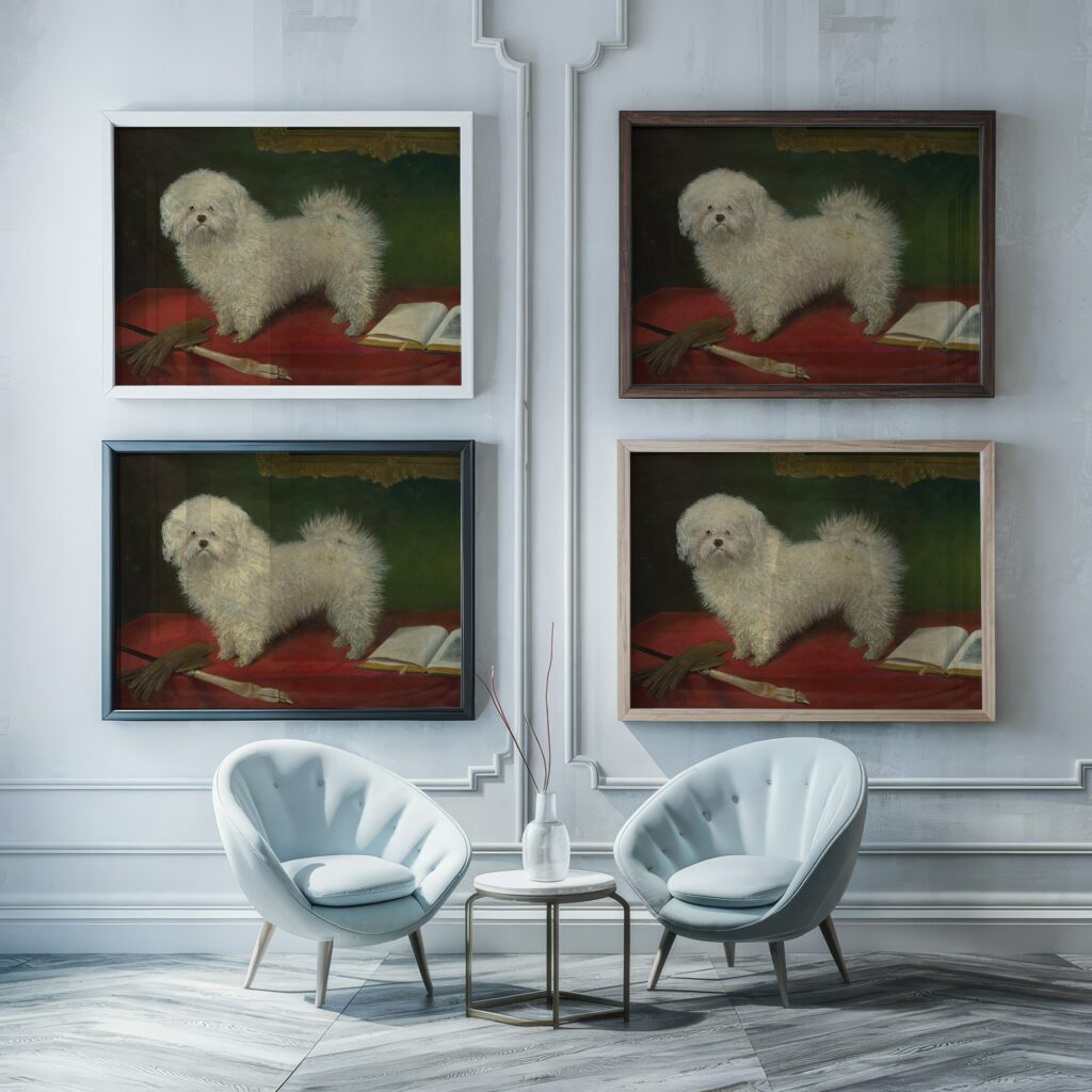 Antique Bichon Frise Print