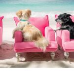 Beach Dogs Tropical Pink Art Print