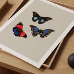 Butterfly Art Print