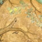 Chameleon Vintage Art