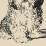 Cowboy Pup Western Print