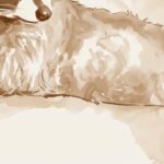 Cowboy Raccoon Watercolor Print