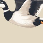 Flying Indian Runner Duck Art Print