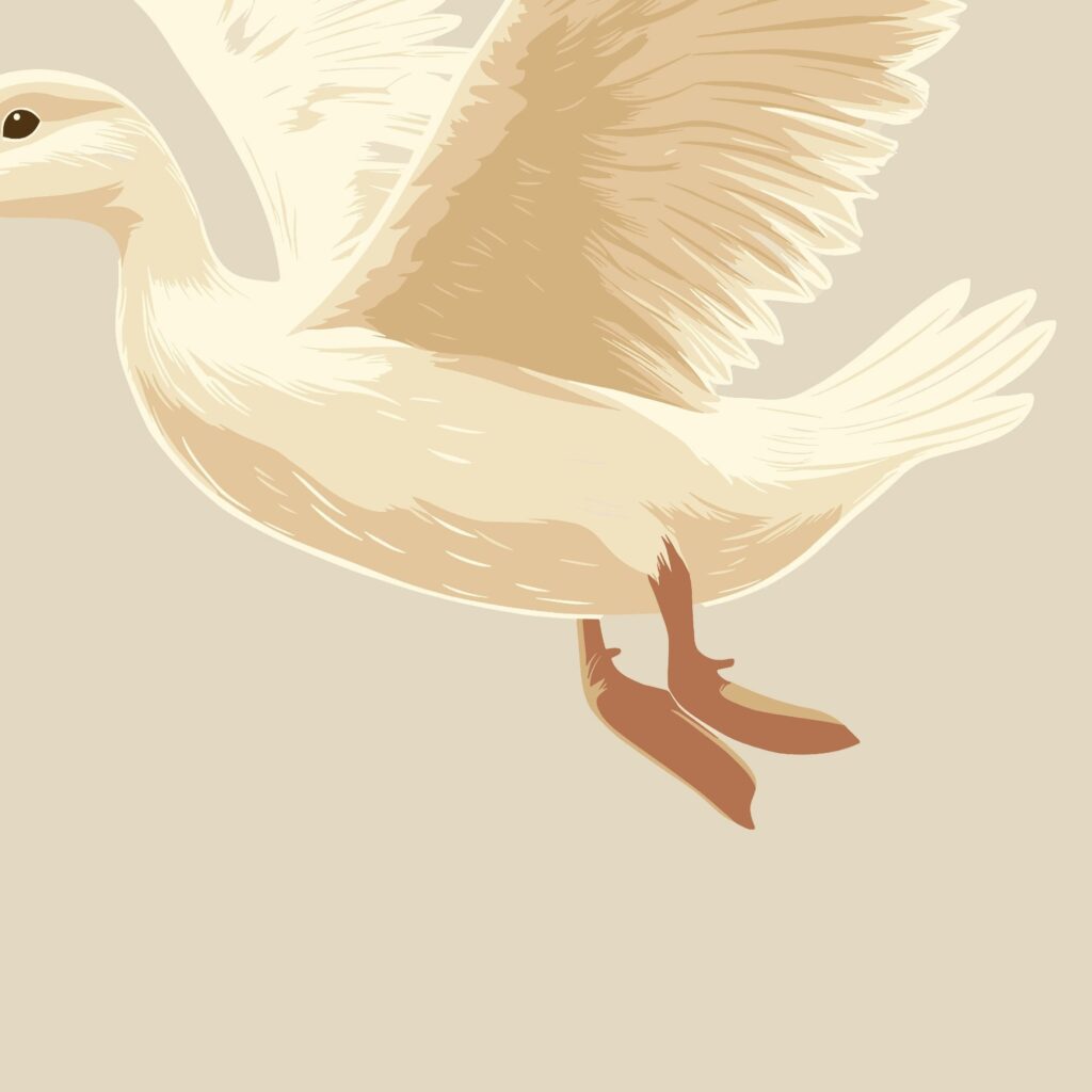 Flying Pekin Duck Wall Art