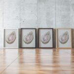 Pink Pearl Oyster Print