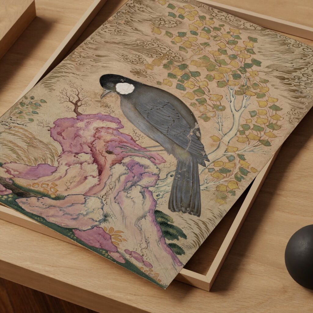 Vintage Bird Print