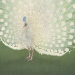 Vintage Japanese White Peacock Print