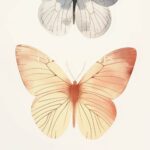 Watercolor Butterfly Print