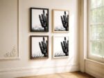 Cactus Wall Art