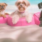 Tropical Beach Dogs Art Print