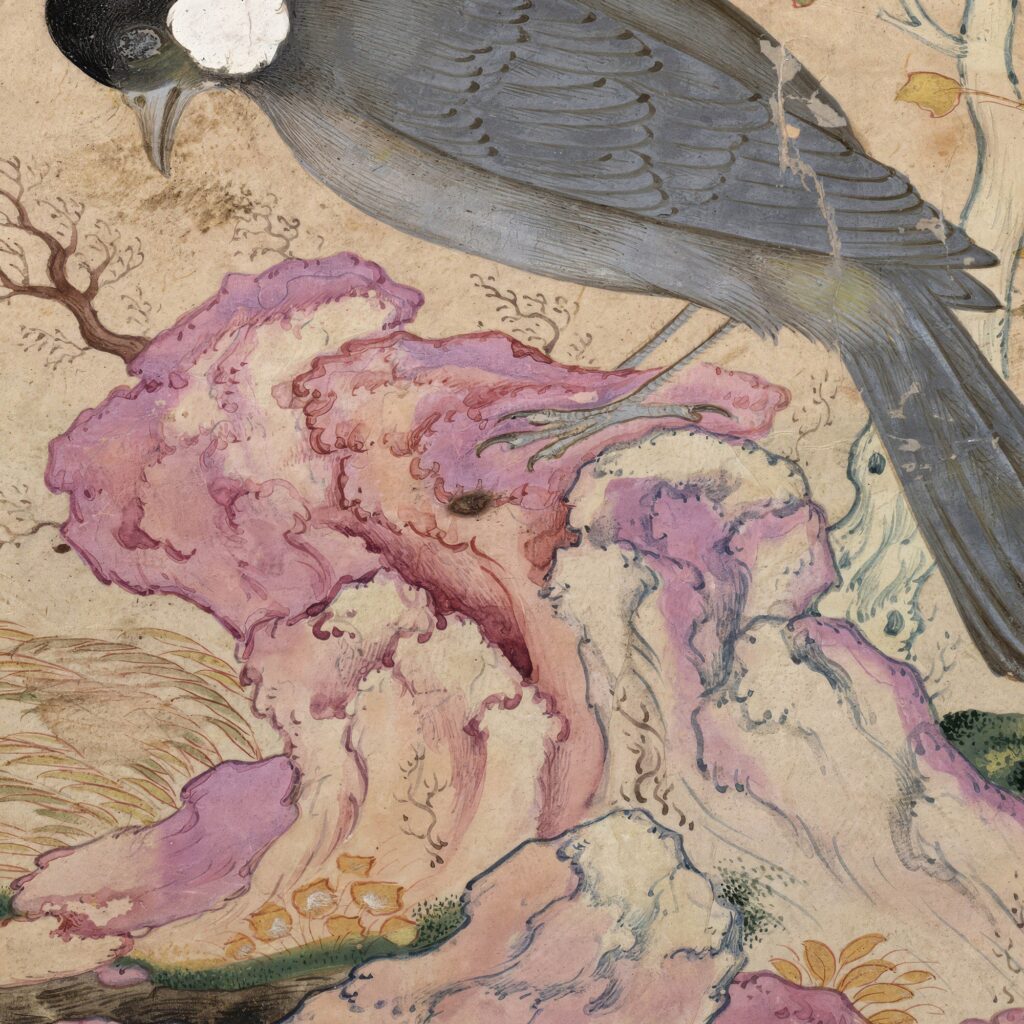 Vintage Bird Print