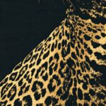 Minimalist Leopard Print
